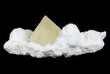 Calcite Crystal on Mordenite - India #168747-1